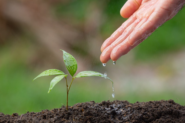 Les femmes plus engagées que les hommes aux causes environnementales : pourquoi ?