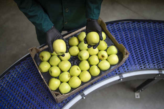 Les entreprises bios : un plus grand marché