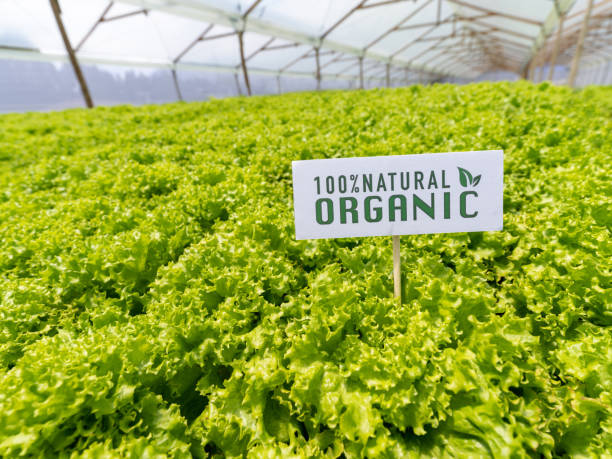 Optez pour des agricultures bios pour préserver l’environnement