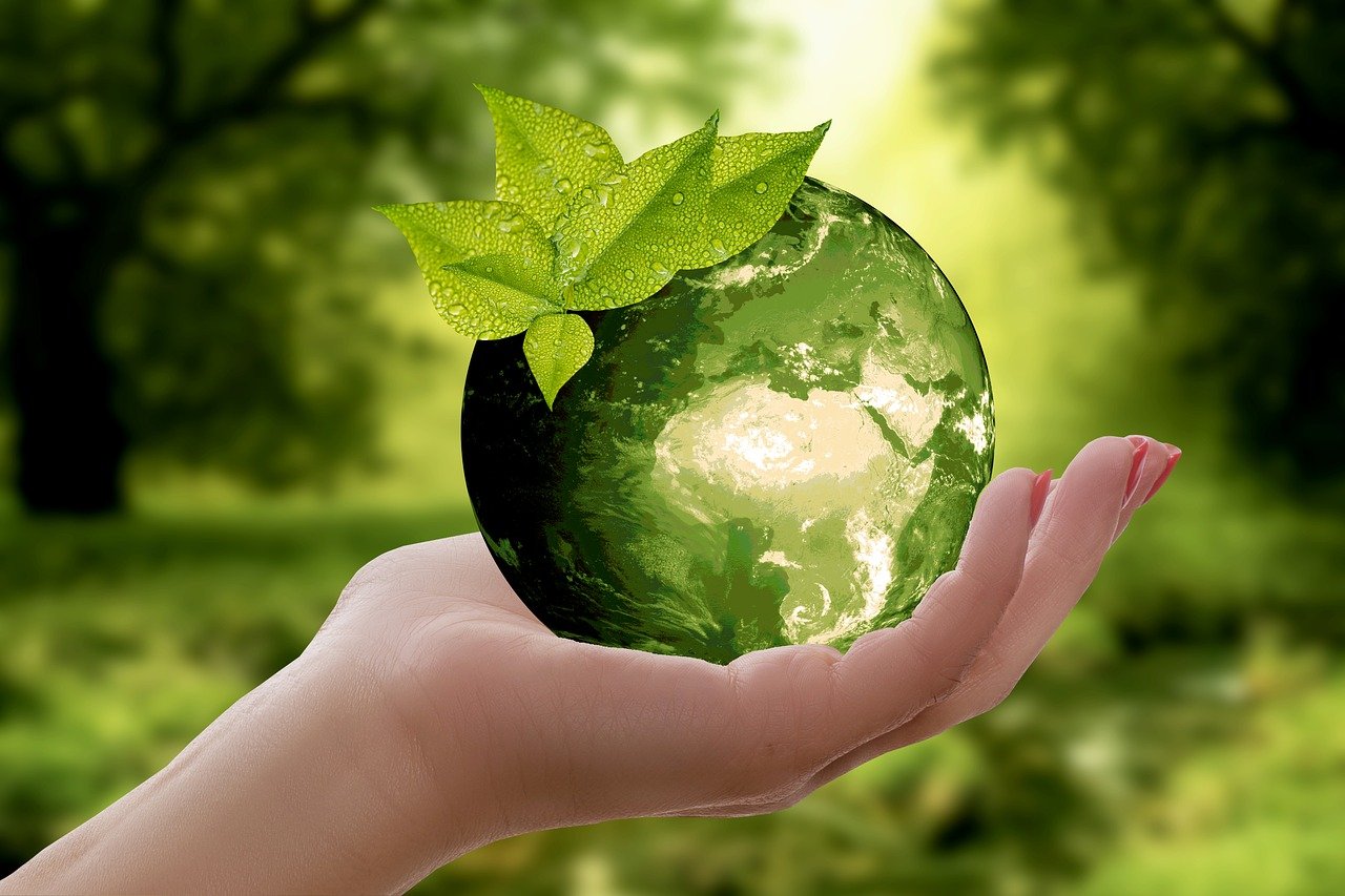 Trois actions importantes pour protéger l'environnement