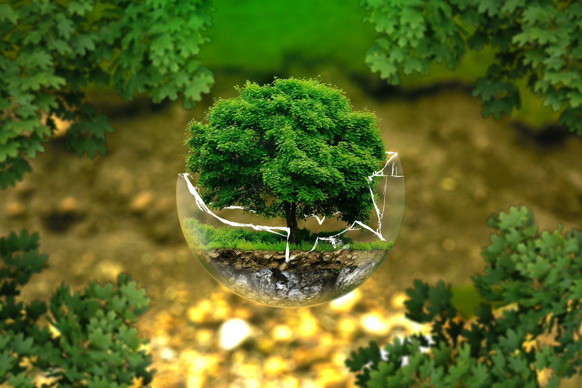 Les causes de la dégradation de l’environnement
