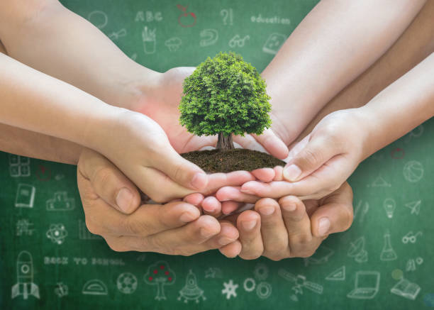 Pourquoi choisir une formation en développement durable ?