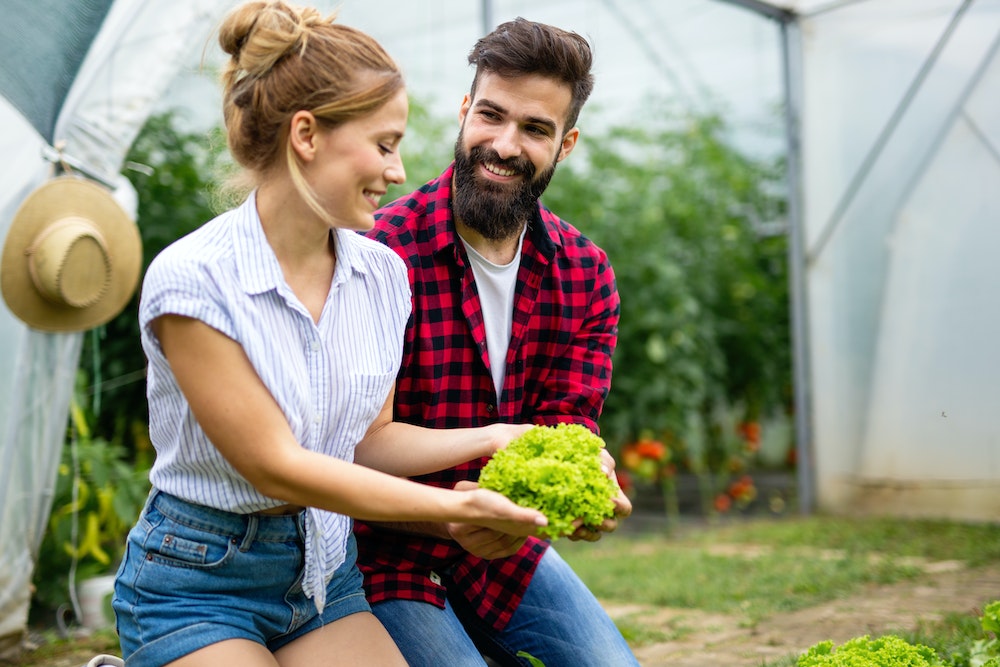 Superfoods Bio : Un Guide Complet pour Booster votre Santé