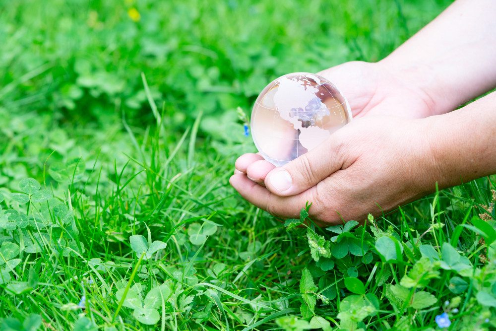 Décryptage des principes de base du développement durable