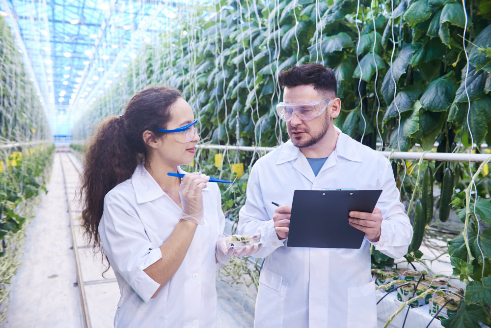 L'agriculture durable : un enjeu majeur pour allier production alimentaire et protection de l'environnement