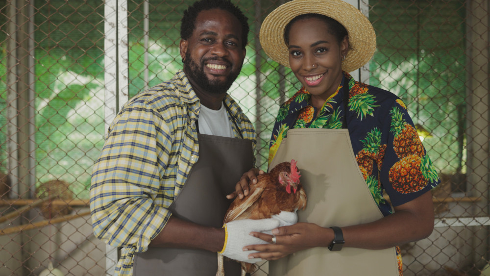 L'agroécologie : une réponse durable à la sécurité alimentaire