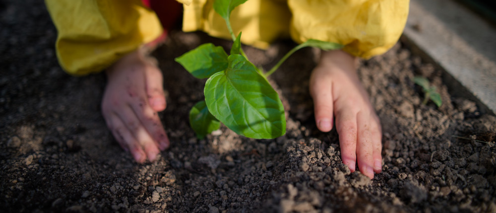 L'éducation à l'environnement, clé d'une société durable