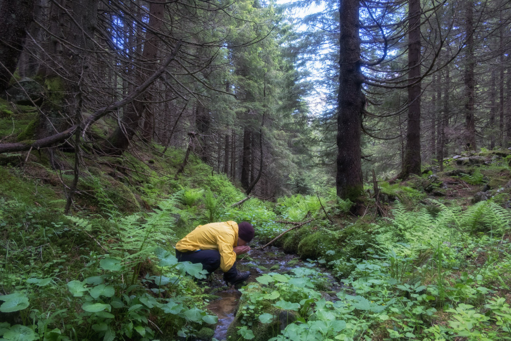 L'eau potable, un enjeu crucial pour la gestion durable des ressources hydriques