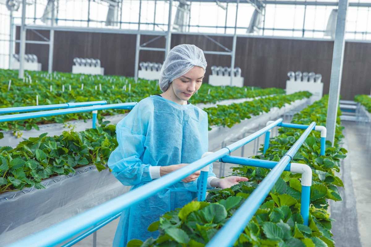 L'agriculture biologique : un atout majeur pour la préservation de la biodiversité