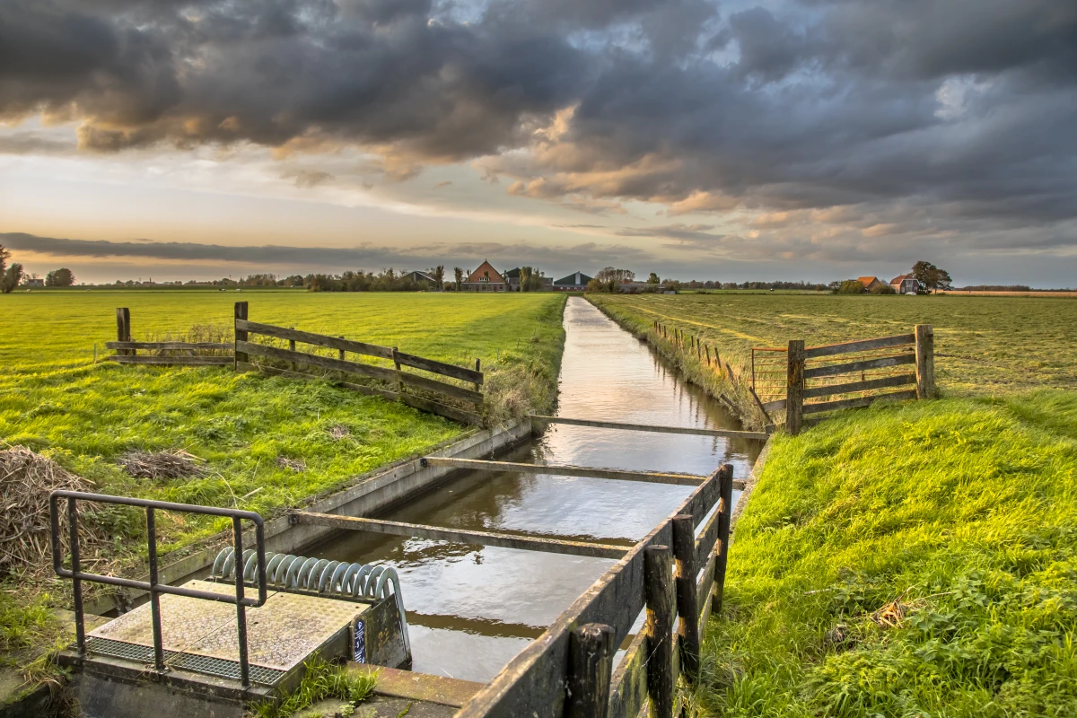 L'agriculture biologique et la gestion des ressources en eau : un enjeu crucial pour notre avenir