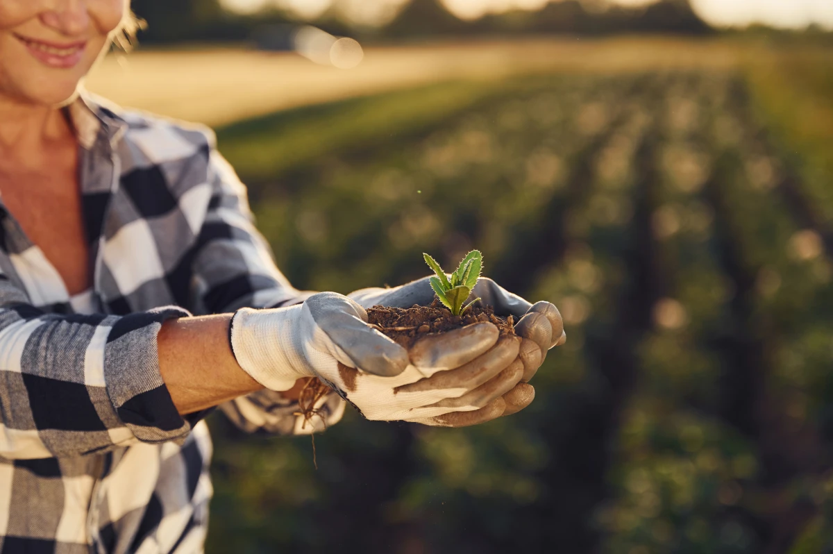 L'agriculture biologique au secours du climat : un levier d'action face au changement climatique