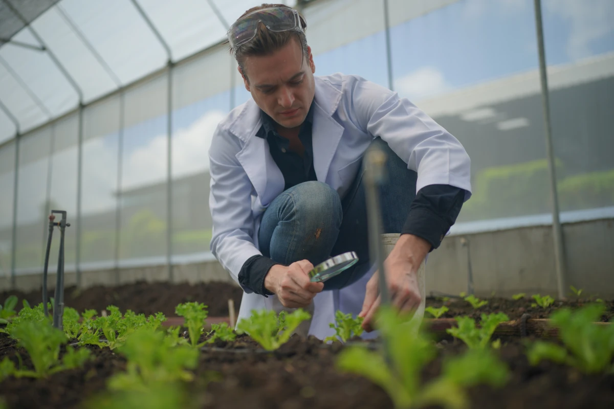 Les défis de l'élevage biologique : entre opportunités et obstacles