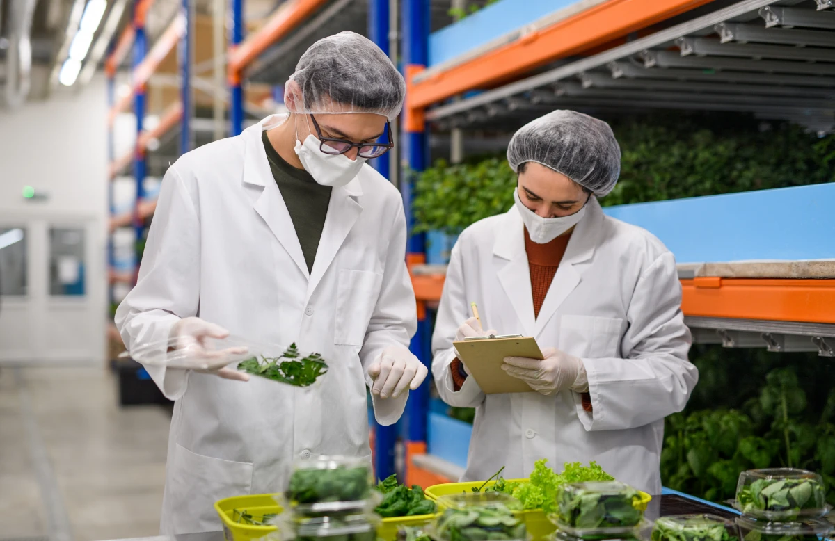 L'aquaponie : une révolution écologique mariant l'aquaculture et l'agriculture bio