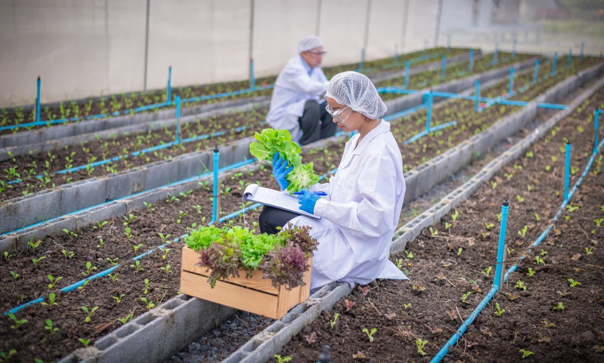 Économie circulaire et agriculture biologique : un tandem gagnant pour l'avenir
