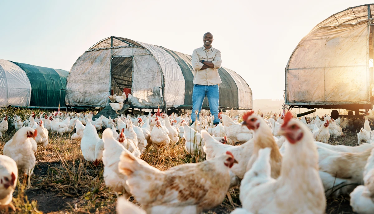 L'intégration des TIC au service de l'agriculture biologique : une révolution en marche