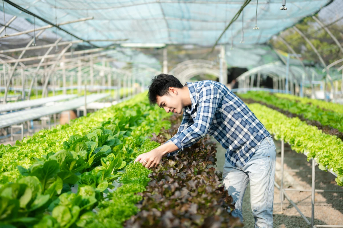 L'éthique et l'agriculture biologique : un regard philosophique sur notre alimentation