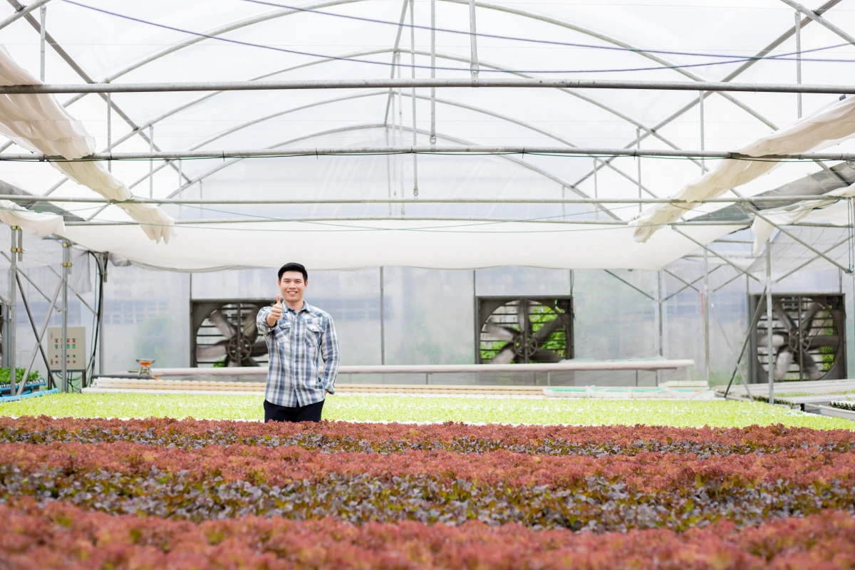 Compostage et fertilisation naturelle : les piliers de l'agriculture bio