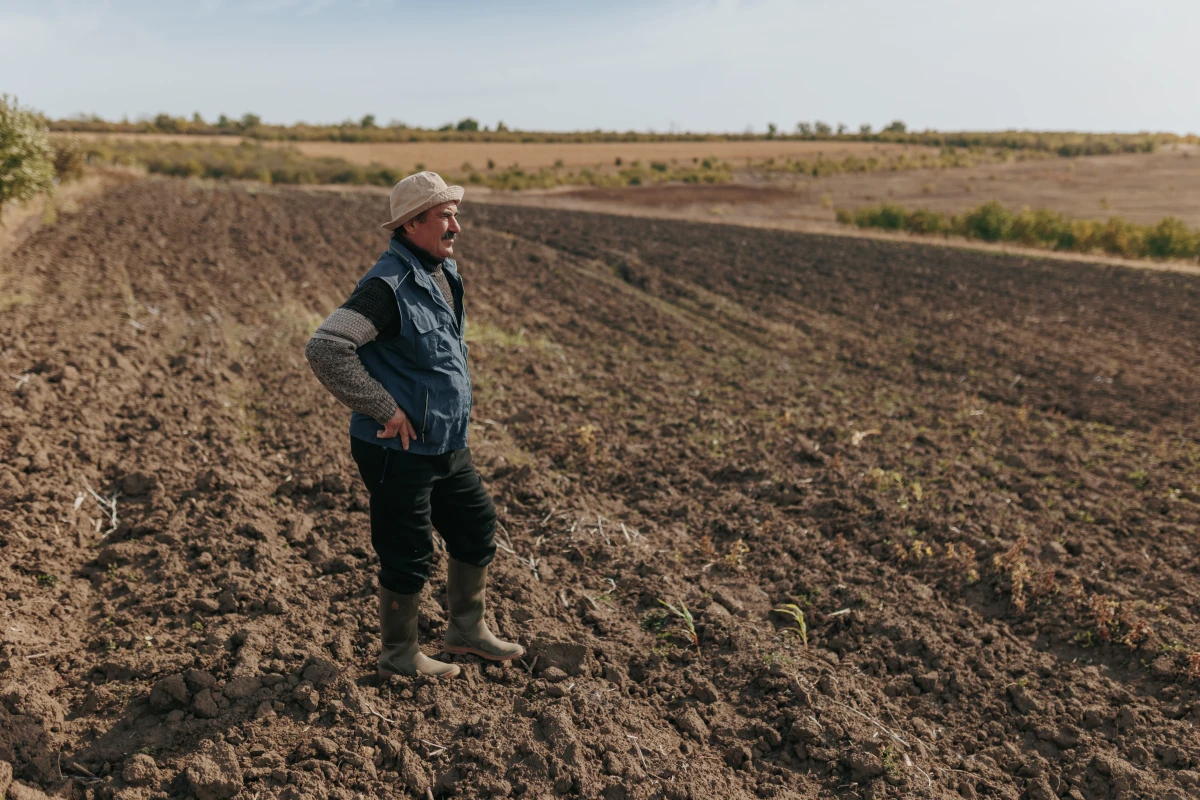 Agriculture résiliente face aux changements climatiques : comment adapter nos pratiques pour un avenir durable ?