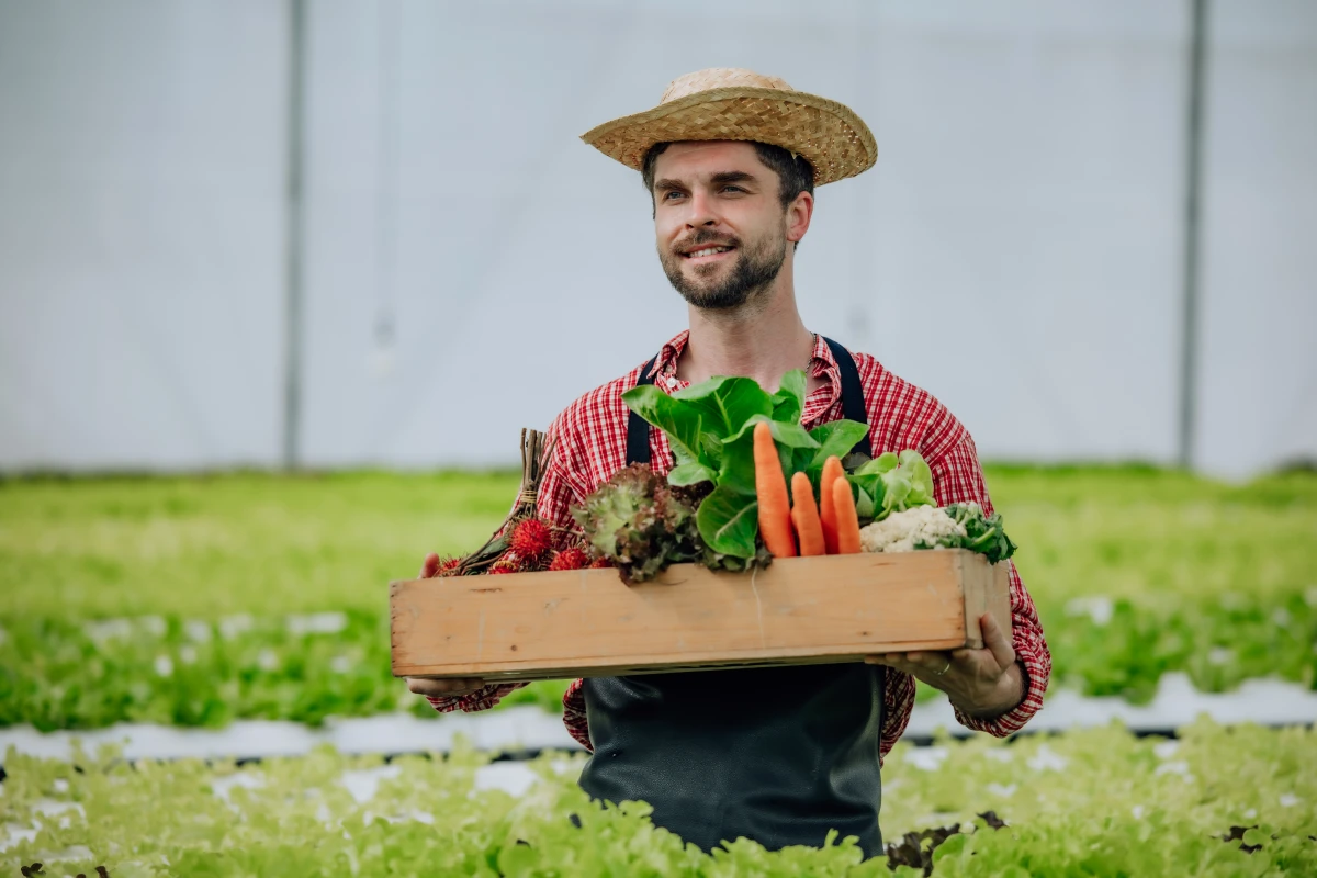 Lutte contre la désertification : les pratiques agricoles durables à la rescousse