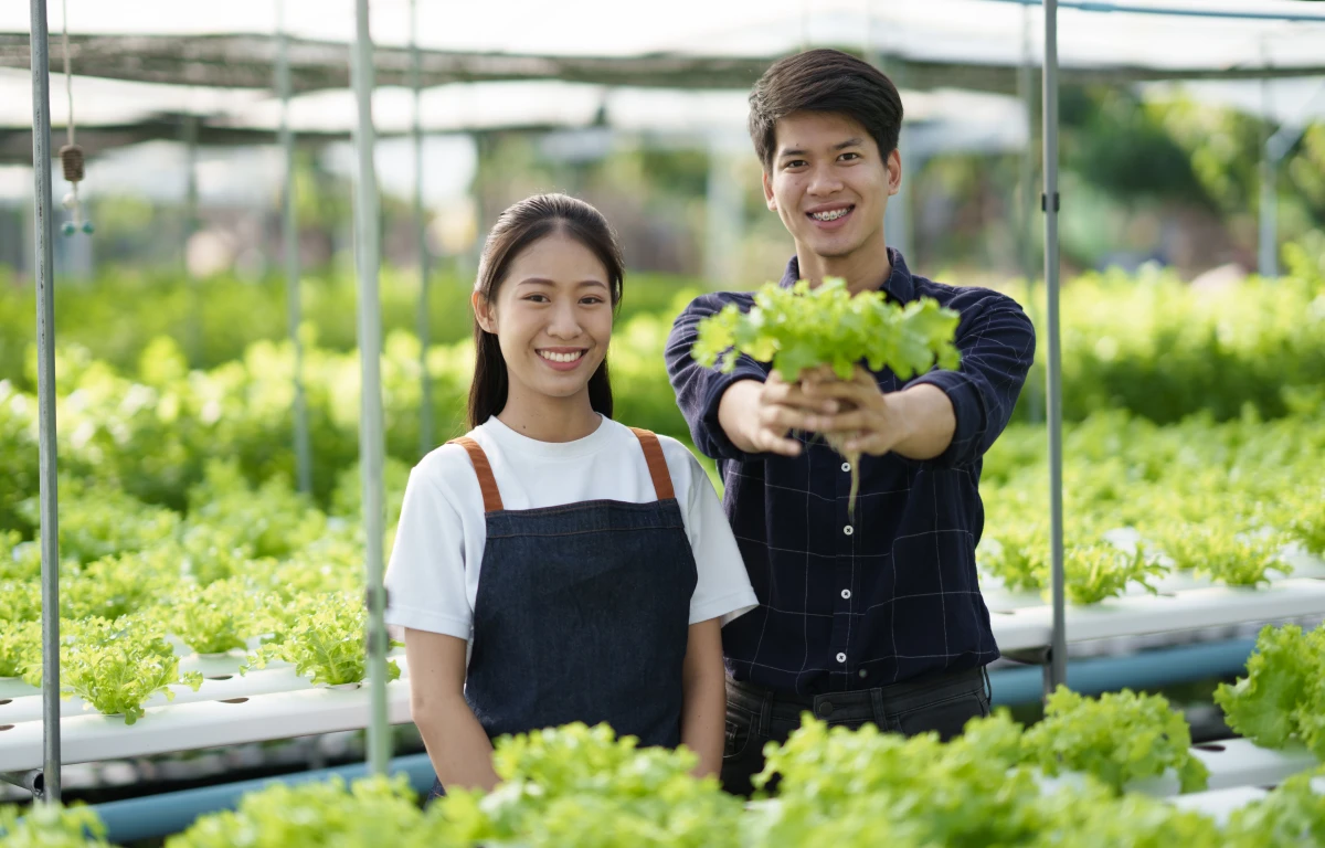 L'hydroponie : une révolution pour l'environnement et l'agriculture du futur