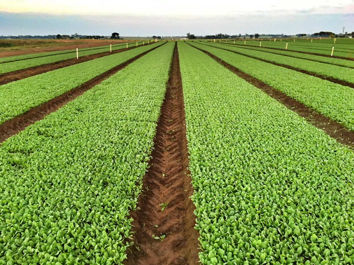 Le financement participatif : une solution innovante pour soutenir l'agriculture durable