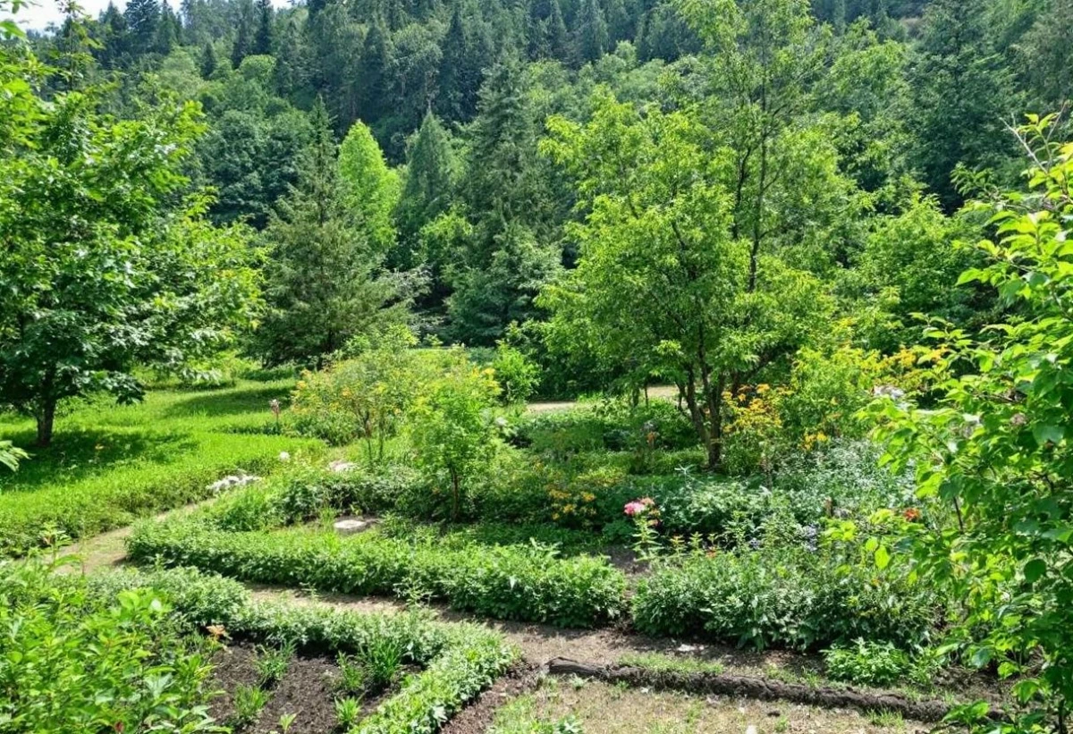 La permaculture : une approche holistique pour une agriculture durable