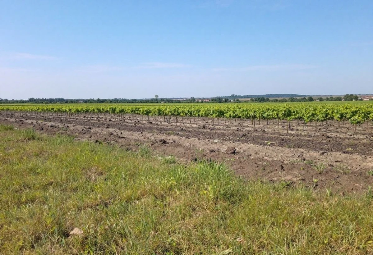 L'agroécologie : une approche novatrice pour une agriculture durable