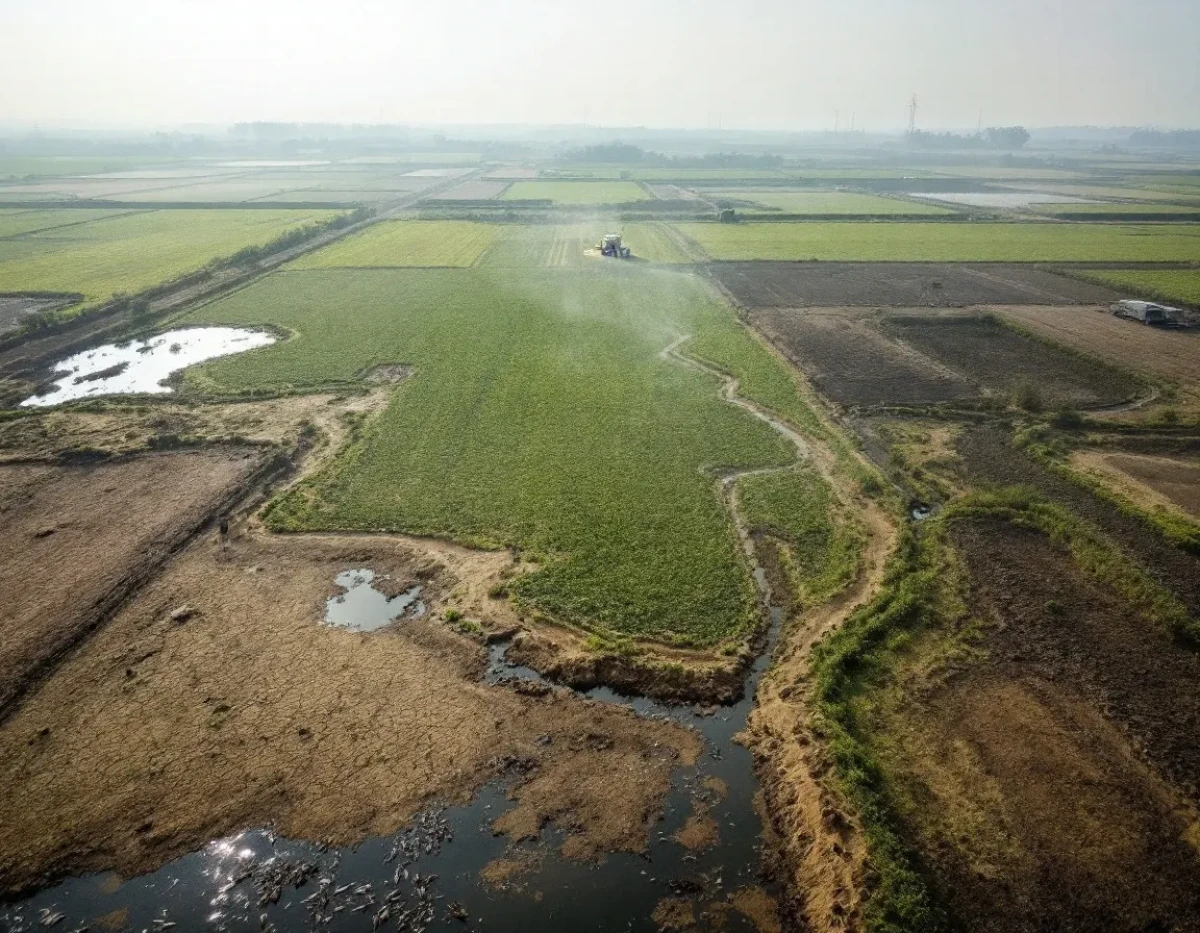 L'agriculture intensive et son impact dévastateur sur les nappes phréatiques
