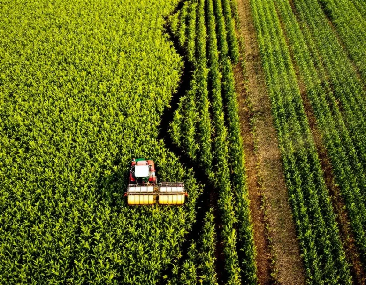 Comparaison entre agriculture bio et agriculture conventionnelle