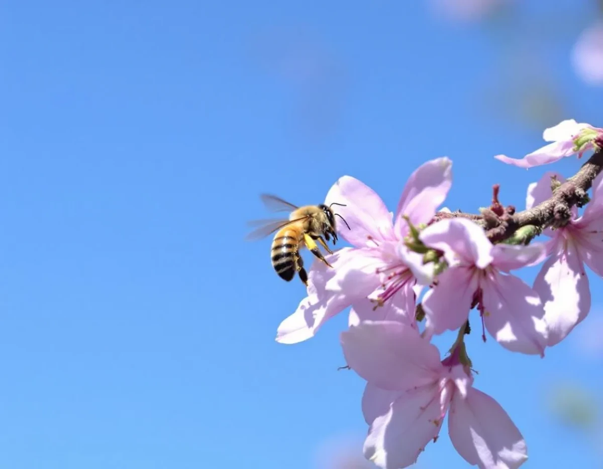 L'apiculture naturelle comme sentinelle de la santé des écosystèmes