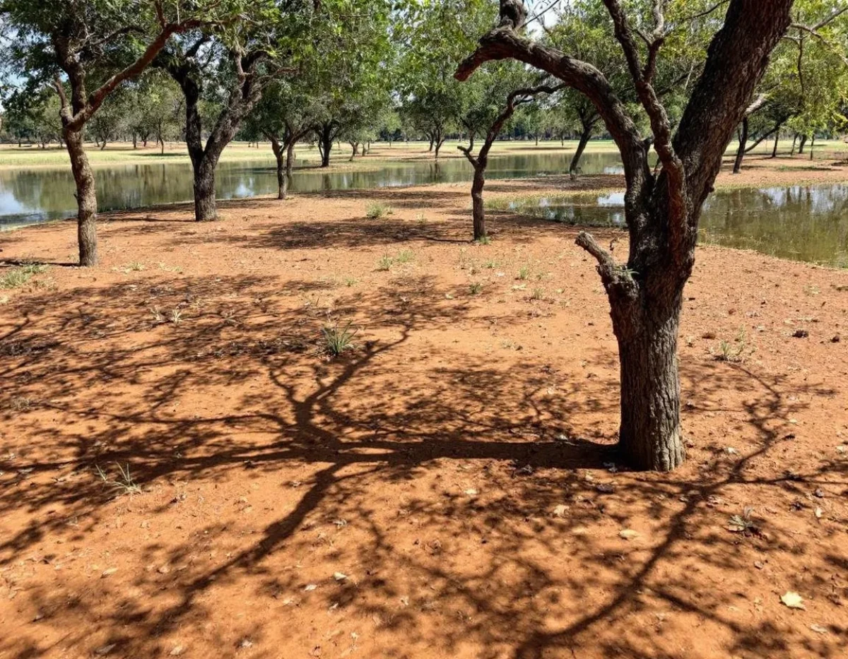 Optimisation hydrique en agriculture sèche dans un contexte de stress climatique