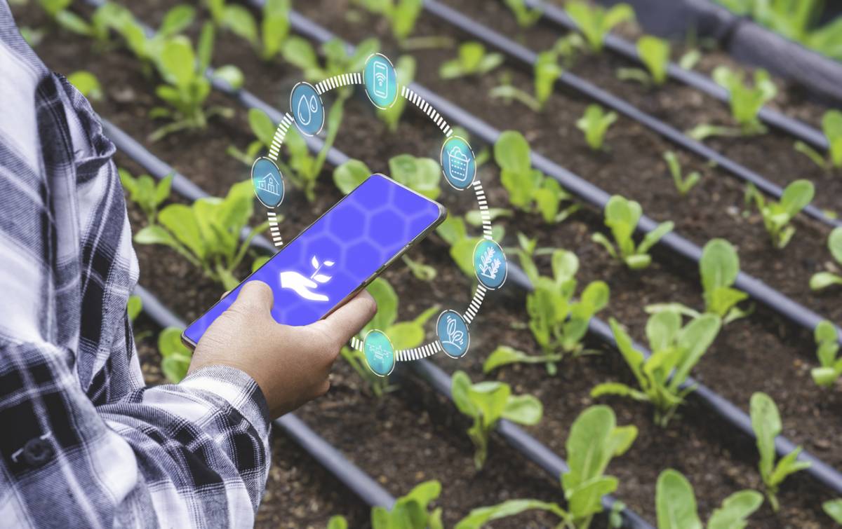 Agriculture 2.0 : pilotez l'irrigation et les capteurs d'humidité via le réseau cellulaire
